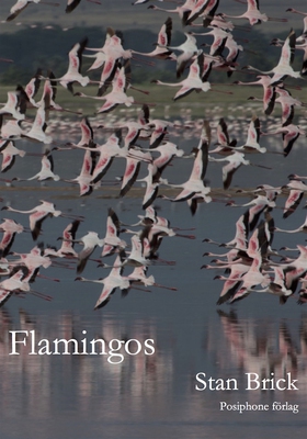 Flamingos (e-bok) av Stan Brick