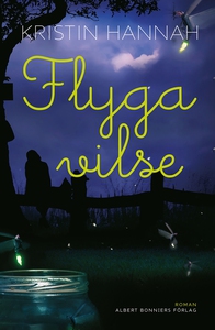 Flyga vilse (e-bok) av Kristin Hannah