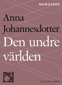 Den undre världen : En livshistoria (e-bok) av