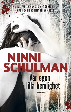 Vår egen lilla hemlighet (e-bok) av Ninni Schul