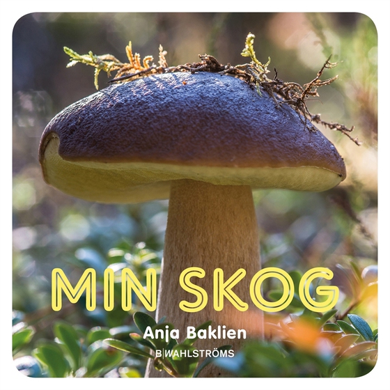 Min skog