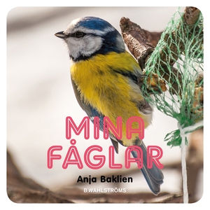 Mina fåglar (e-bok) av Anja Baklien