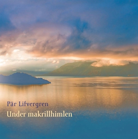 Under makrillhimlen (e-bok) av Pär Lifvergren
