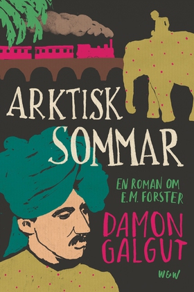 Arktisk sommar (e-bok) av Damon Galgut