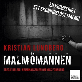 Malmömannen (ljudbok) av Kristian Lundberg