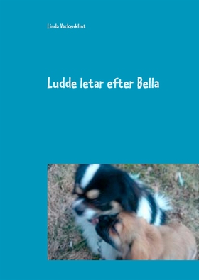 Ludde letar efter Bella (e-bok) av Linda Vacken