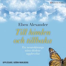 Till himlen och tillbaka : en neurokirurgs nära