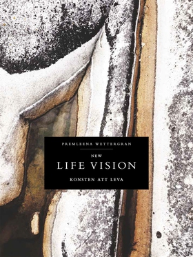 New Life Vision - Konsten att leva (e-bok) av P