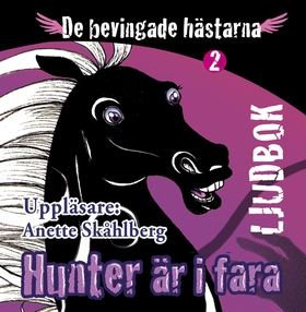 Hunter är i fara (ljudbok) av Anette Skåhlberg