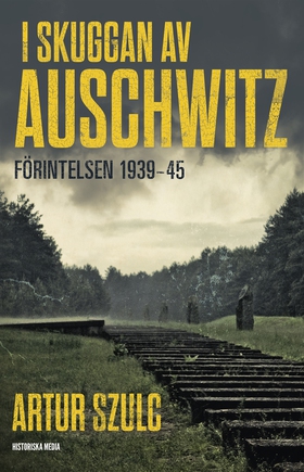 I skuggan av Auschwitz : förintelsen 1939-45 (e