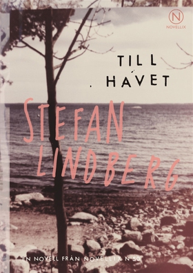 Till havet (ljudbok) av Stefan Lindberg