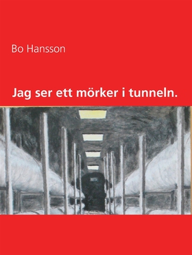 Jag ser ett mörker i tunneln. (e-bok) av Bo Han