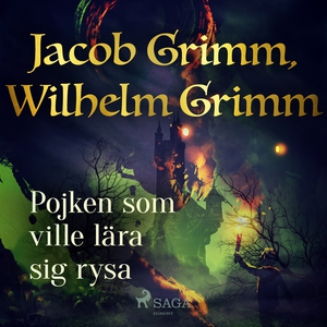 Pojken som ville lära sig rysa (ljudbok) av Jac