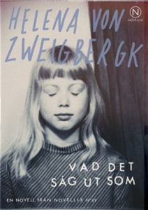 Vad det såg ut som (ljudbok) av Helena von Zwei