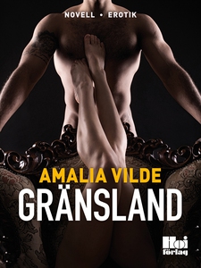 Gränsland (e-bok) av Amalia Vilde