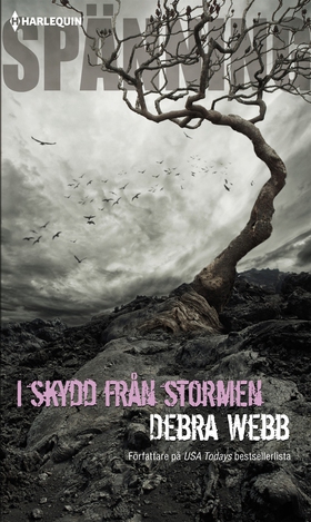 I skydd från stormen (e-bok) av Debra Webb