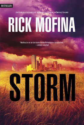 Storm (e-bok) av Rick Mofina