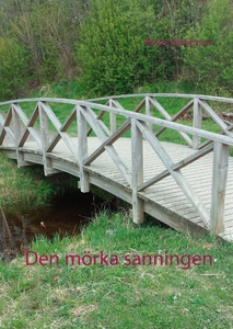 Den mörka sanningen (e-bok) av Rosita Jakobsson