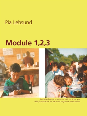 Module 1,2,3 (e-bok) av Pia Lebsund