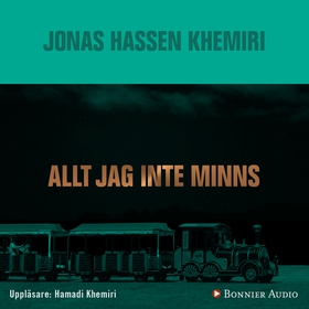 Allt jag inte minns (ljudbok) av Jonas Hassen K