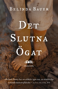 Det slutna ögat (e-bok) av Belinda Bauer