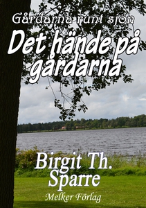 Det hände på gårdarna (e-bok) av Birgit Th. Spa