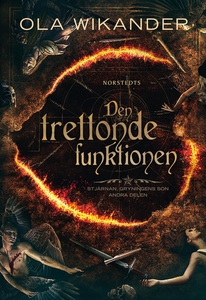 Den trettonde funktionen (e-bok) av Ola Wikande