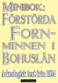 Minibok: Förstörda fornminnen i Bohuslän år 1924