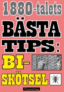 Guide till biskötsel år 1885 (e-bok) av