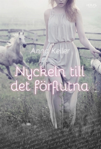 Nyckeln till det förflutna (e-bok) av Anna Keil
