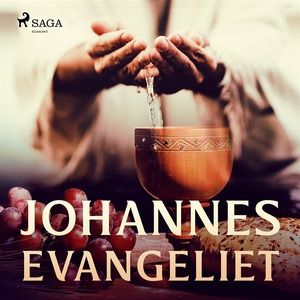 Johannesevangeliet (ljudbok) av Aposteln Johann
