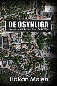 De osynliga : en kriminell skröna från Norrtälj