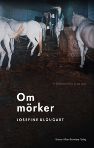 Om mörker (e-bok) av Josefine Klougart