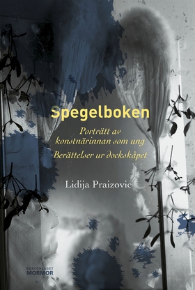 Spegelboken (e-bok) av Lidija Praizovic