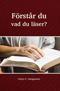 Förstår du vad du läser (e-bok) av Chrys Carago