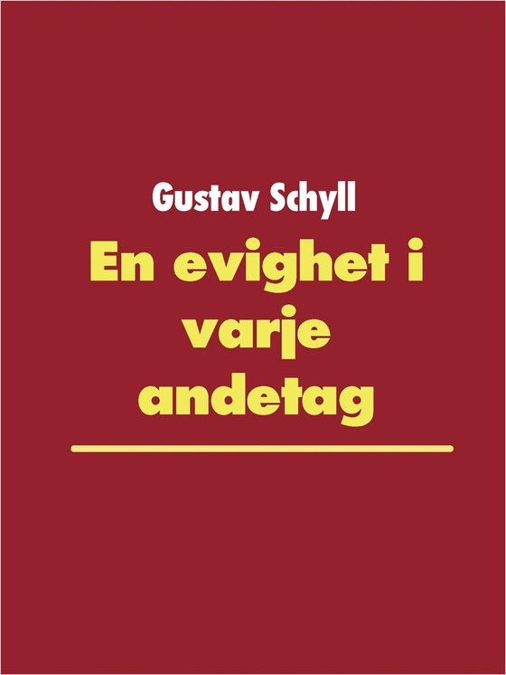 En evighet i varje andetag: 41 dikter skrivna av en förvirrad man