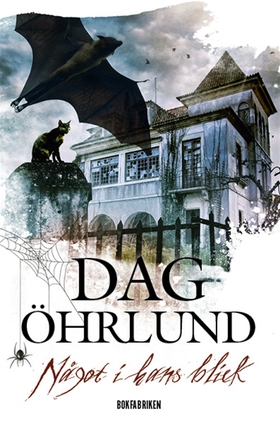 Något i hans blick (e-bok) av Dag Öhrlund