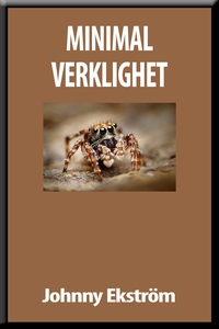 Minimal verklighet (e-bok) av Johnny Ekström