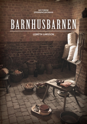 Barnhusbarnen (e-bok) av Lisbeth Larsson
