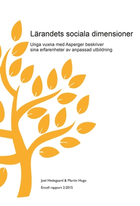 Lärandets sociala dimensioner (e-bok) av 