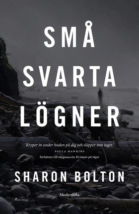 Små svarta lögner (e-bok) av Sharon Bolton