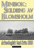Minibok: Skildring av Blomsholms fornminnen år 1910