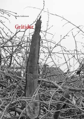 Gråtider (e-bok) av Linda Andersson