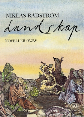 Landskap : Noveller (e-bok) av Niklas Rådström