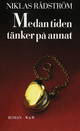 Medan tiden tänker på annat (e-bok) av Niklas R