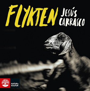 Flykten (ljudbok) av Jesús Carrasco