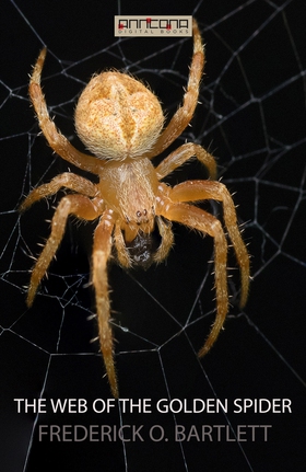 The Web of the Golden Spider (e-bok) av Frederi