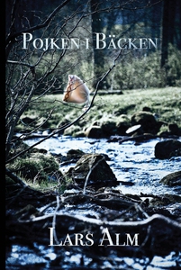 Pojken i bäcken (e-bok) av Lars Alm