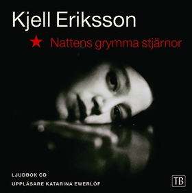 Nattens grymma stjärnor (ljudbok) av Kjell Erik
