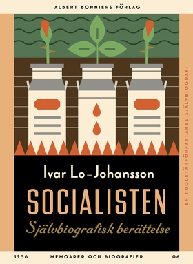 Socialisten (e-bok) av Ivar Lo-Johansson